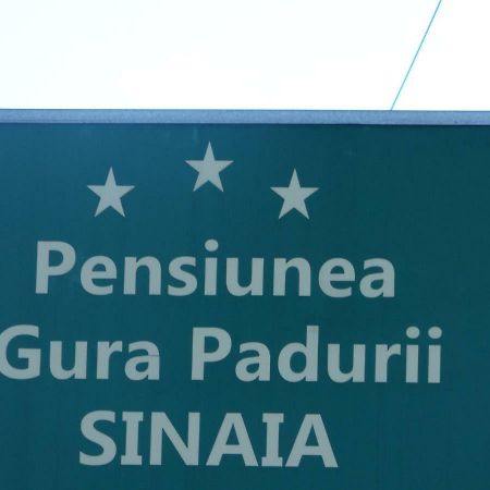 Hotel Gura Padurii à Sinaia Extérieur photo