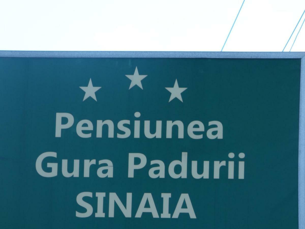 Hotel Gura Padurii à Sinaia Extérieur photo